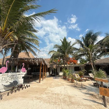 La Diosa Kali Beach Front Hotel Isla Holbox 外观 照片