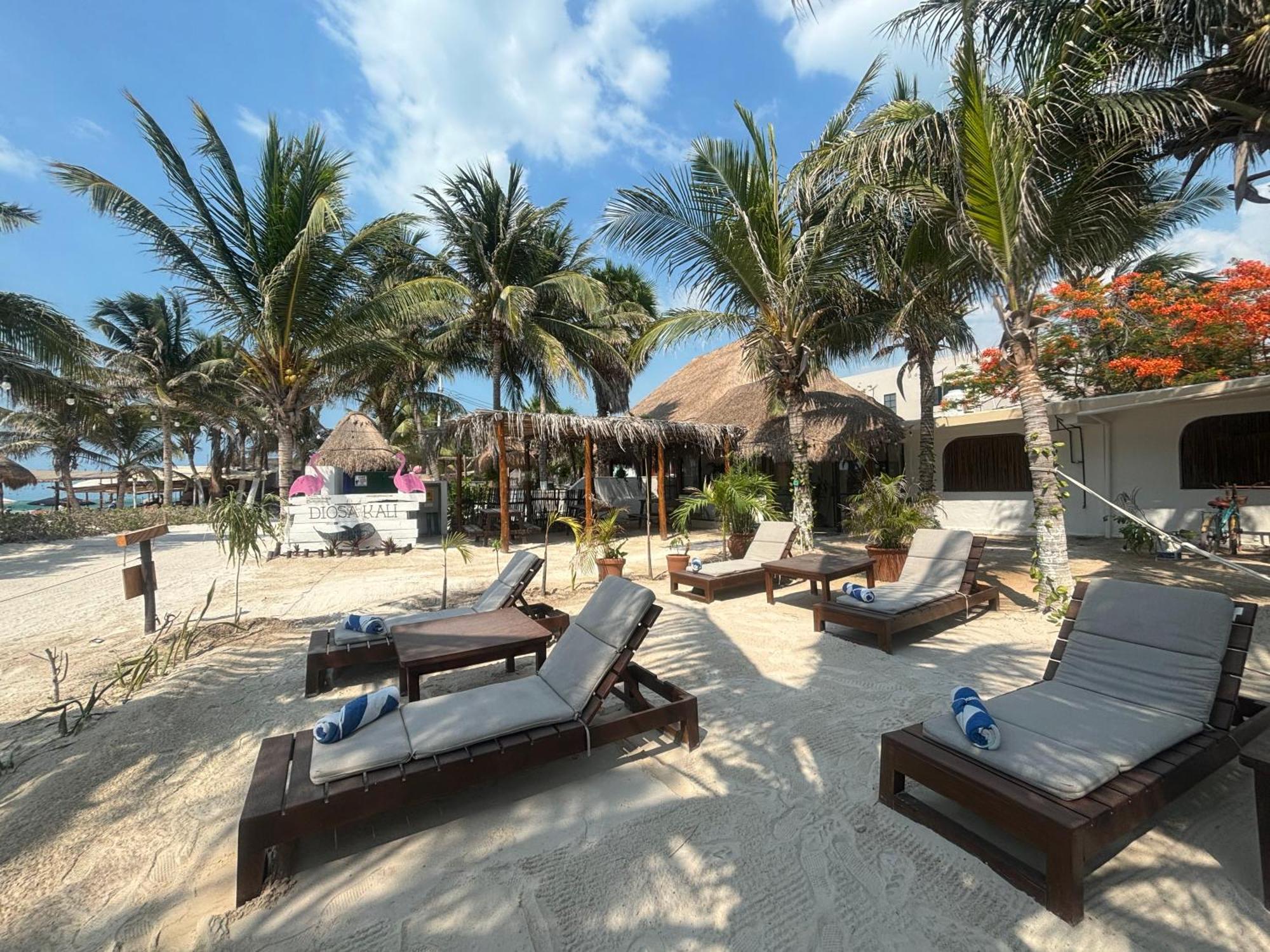 La Diosa Kali Beach Front Hotel Isla Holbox 外观 照片