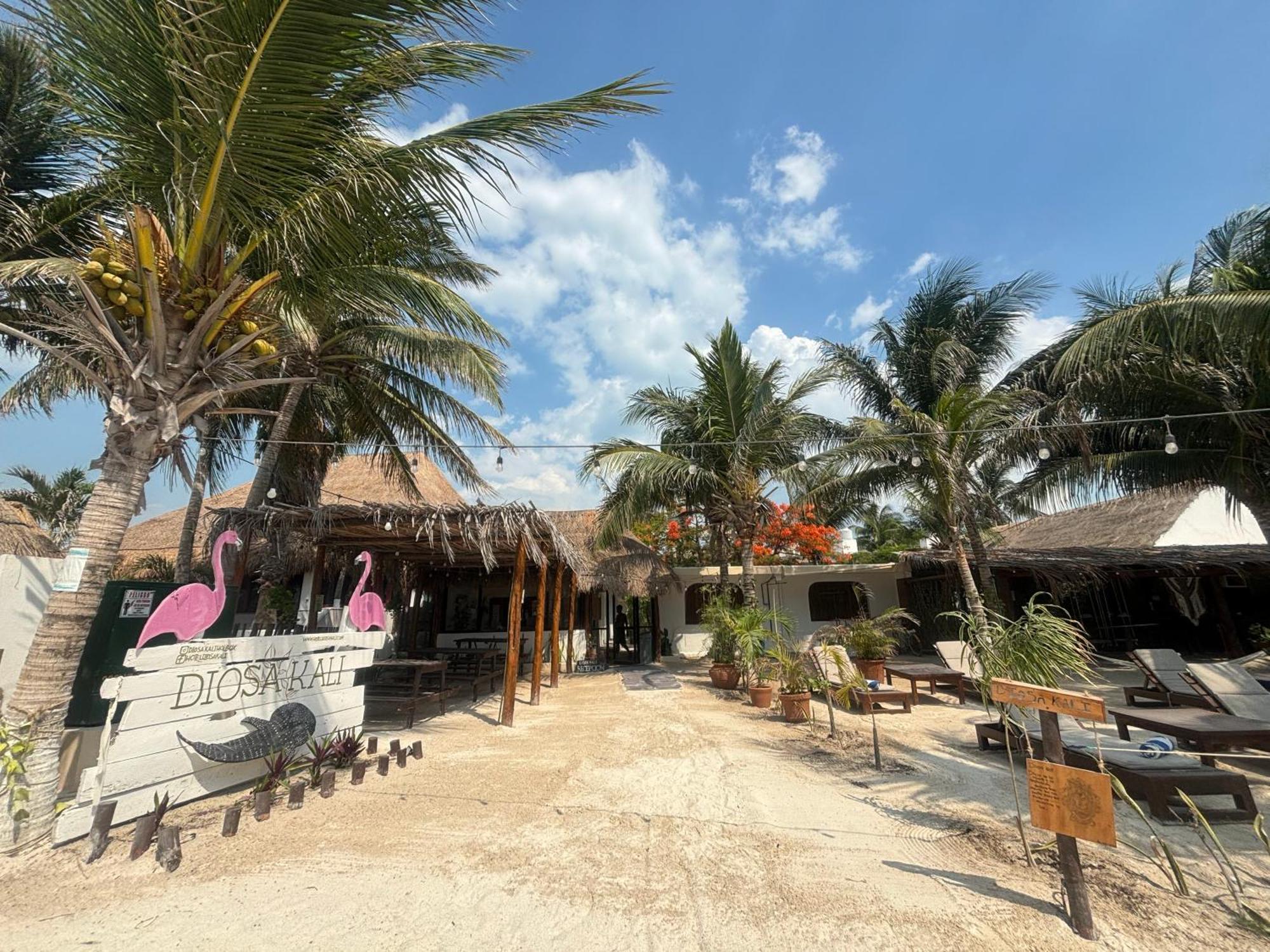 La Diosa Kali Beach Front Hotel Isla Holbox 外观 照片