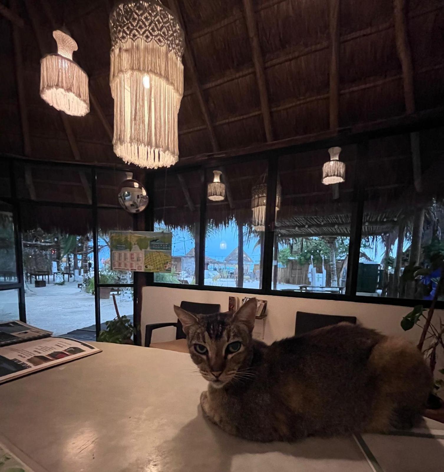 La Diosa Kali Beach Front Hotel Isla Holbox 外观 照片