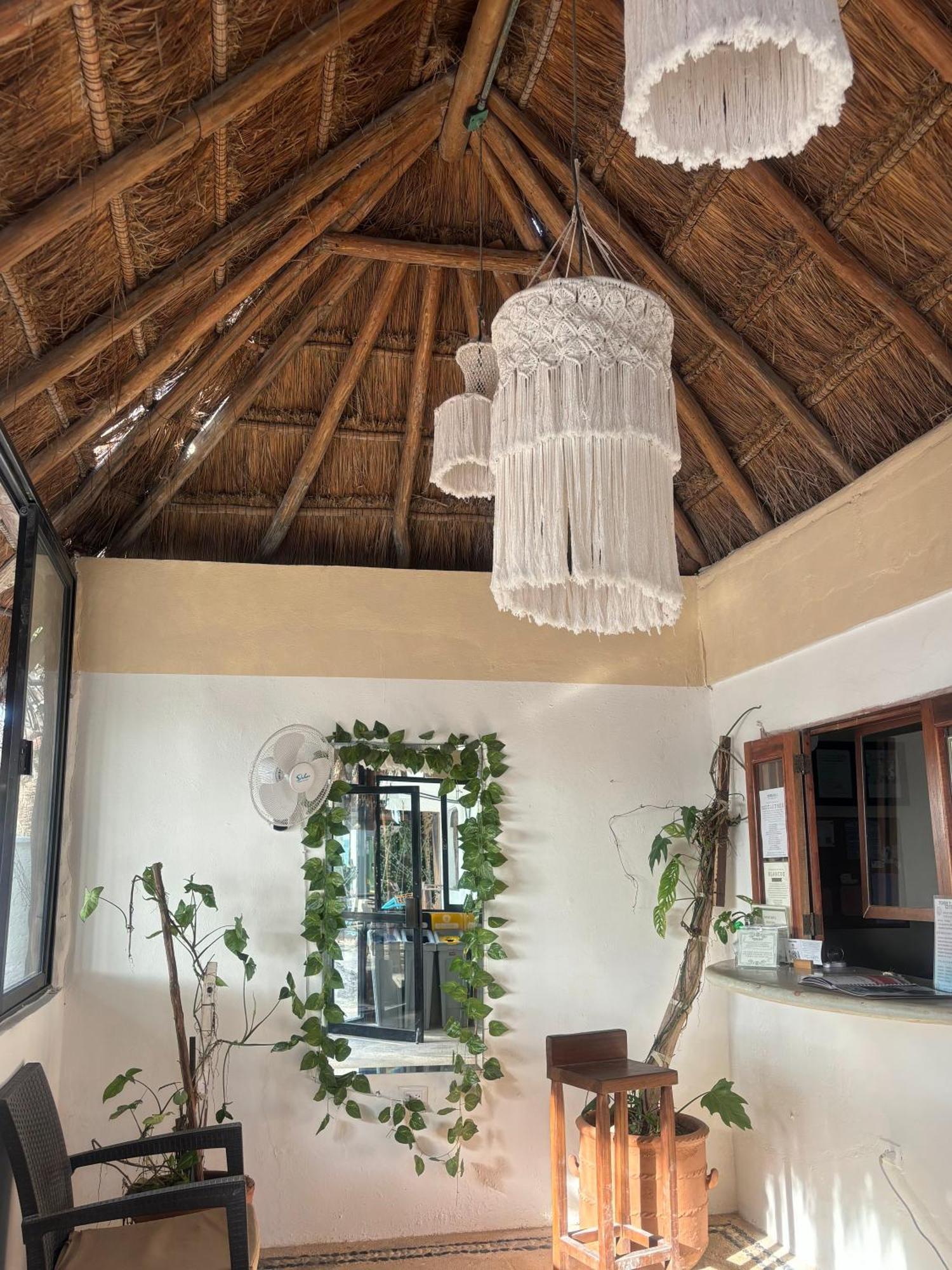 La Diosa Kali Beach Front Hotel Isla Holbox 外观 照片